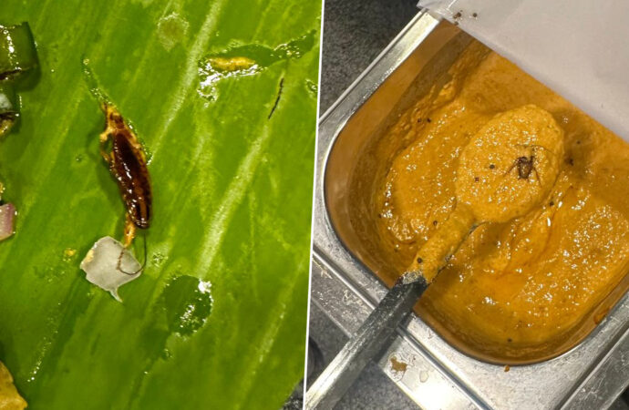 Cockroach in Chutney Triggers Protest at Delhi University Hostel