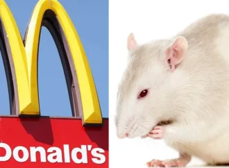 McDonald’s Chicago: Rat Found in Condiments Area