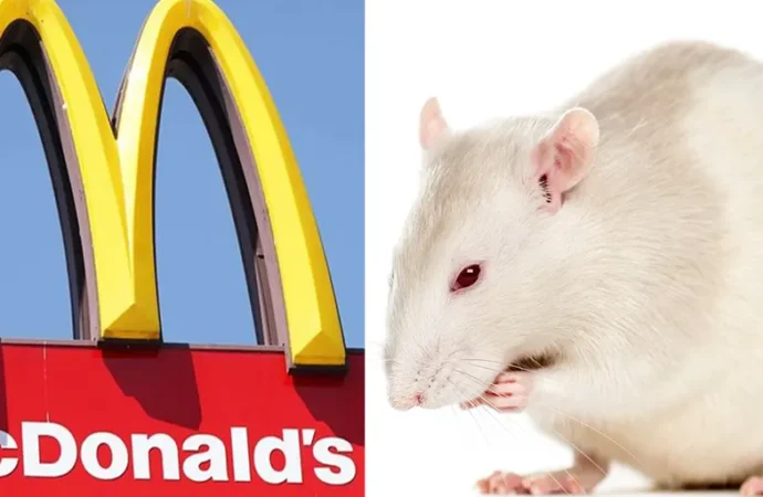 McDonald’s Chicago: Rat Found in Condiments Area