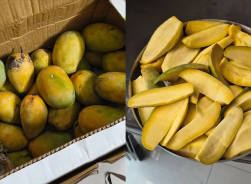 Woman Claims ‘Chemical-Free’ Mangoes Worth ₹1,800 Turned Tasteless Inside