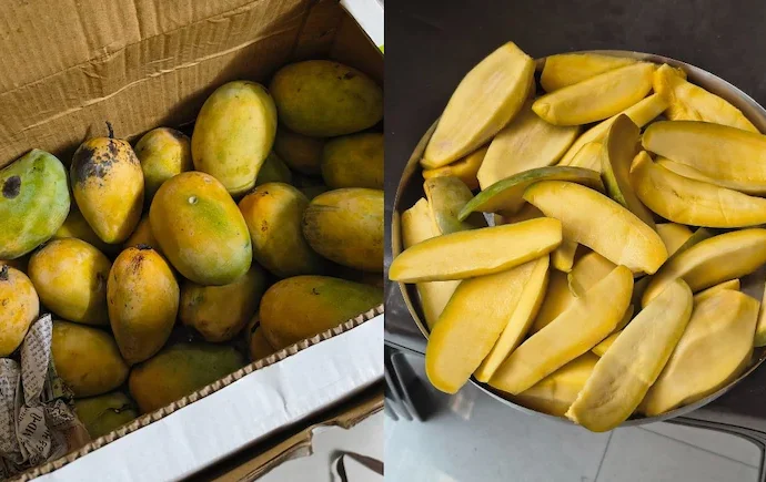 Woman Claims ‘Chemical-Free’ Mangoes Worth ₹1,800 Turned Tasteless Inside