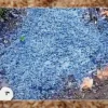 Bluish-Black Discolouration in Cooked Ration Rice Triggers Concern in Kerala