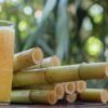 From Juice to Jaundice: The Risk Behind Every Sip