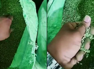 Toxic Green Dye Found in 3,500 Kg Fennel Seeds During Gujarat Raid