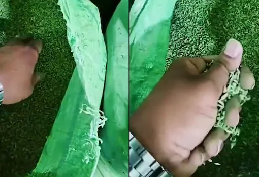 Toxic Green Dye Found in 3,500 Kg Fennel Seeds During Gujarat Raid
