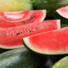 Watermelon Tragedy Strikes Again: Teen Dies, Three Children Fall Ill in Chhattisgarh