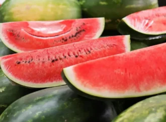 Watermelon Tragedy Strikes Again: Teen Dies, Three Children Fall Ill in Chhattisgarh