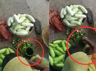 Painted Cucumbers? Viral Bihar Railway Station Video Sparks Food Safety Panic