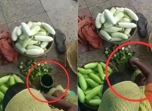 Painted Cucumbers? Viral Bihar Railway Station Video Sparks Food Safety Panic