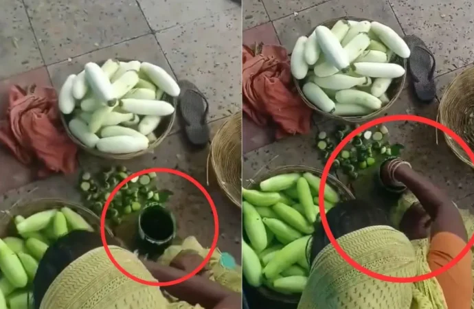 Painted Cucumbers? Viral Bihar Railway Station Video Sparks Food Safety Panic