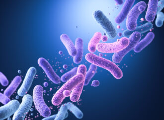 Bacillus cereus: The Bacteria That Survives Cooking