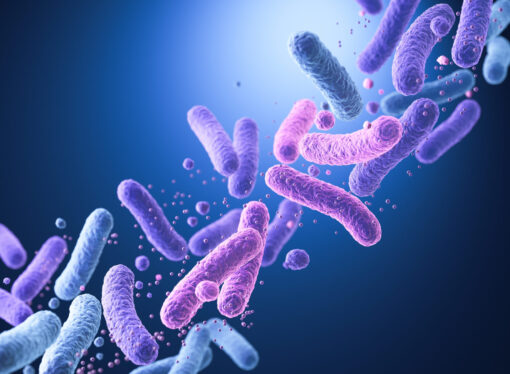 Bacillus cereus: The Bacteria That Survives Cooking