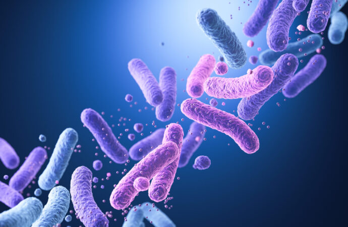 Bacillus cereus: The Bacteria That Survives Cooking