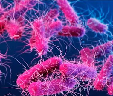 Shigella Outbreak in Kerala: Why Health Officials Are on High Alert