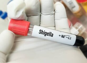 Closures, Fines, and Inspections: Kerala’s Response to the Shigella Threat