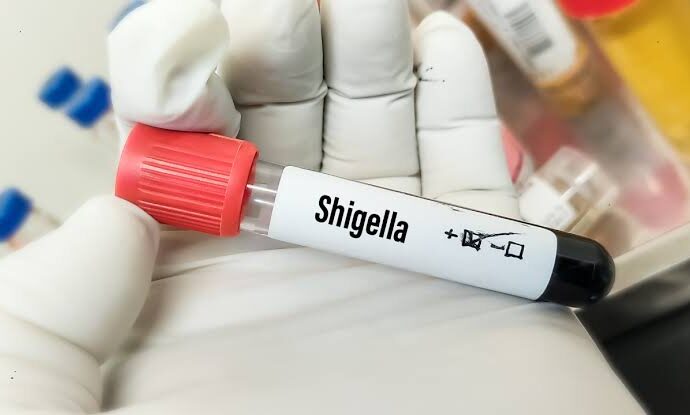 Closures, Fines, and Inspections: Kerala’s Response to the Shigella Threat