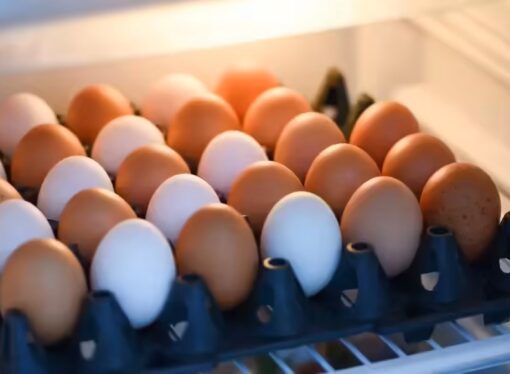 Tamil Nadu Inspects Egg Storages Over School Meal Concerns