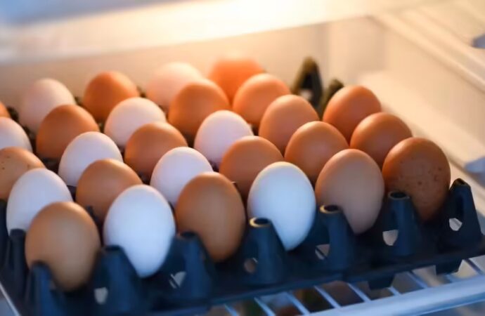Tamil Nadu Inspects Egg Storages Over School Meal Concerns