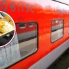 Fly Found in Rajdhani Meal: IRCTC Fines Caterer ₹1 Lakh