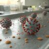 Can Viruses Grow in Food? The Answer May Surprise You