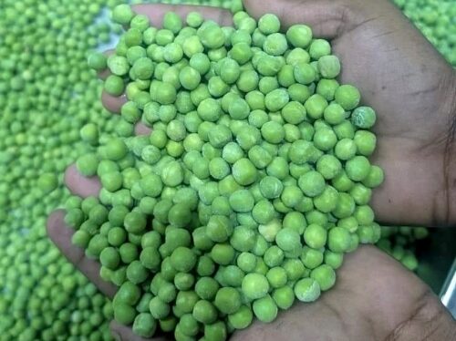 Mysuru Officials Seize 106 kg of Suspected Artificially Coloured Green Peas