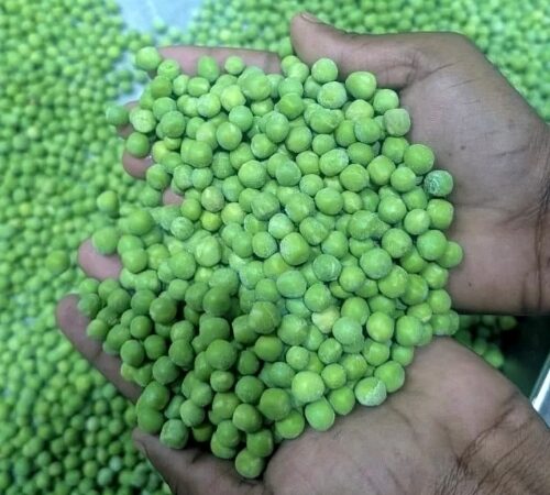 Mysuru Officials Seize 106 kg of Suspected Artificially Coloured Green Peas