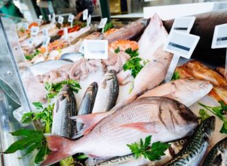 From Market to Meal: How to Store Fish Safely