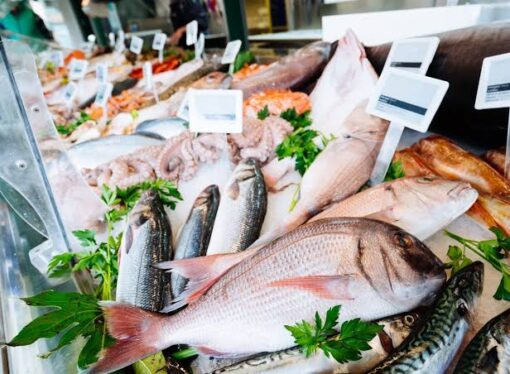 From Market to Meal: How to Store Fish Safely