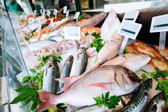 From Market to Meal: How to Store Fish Safely
