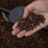 Clearer Labels Ahead: FSSAI Mandates Exact Coffee and Chicory Ratios on Packaging