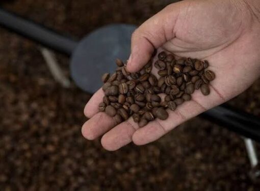 Clearer Labels Ahead: FSSAI Mandates Exact Coffee and Chicory Ratios on Packaging