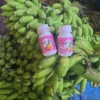 5,000 Kg of Bananas Seized in Udupi Raid Over Illegal Chemical Ripening