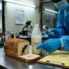 Lizard in Bread, Stale Milk: Kochi Food-Safety Checks Flag Lapses
