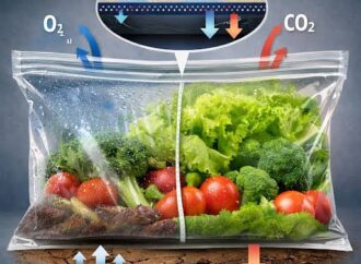 The Air Inside Your Food Pack: How Modified Atmosphere Packaging Works