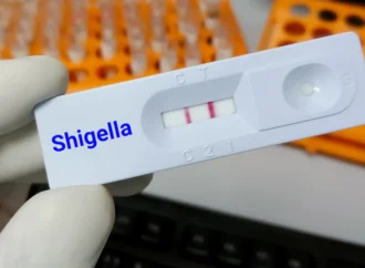 Shigellosis Resurfaces in Kerala as Health Officials Renew Warning