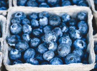 E. coli Outbreak linked to Frozen Blueberries in the U.S.