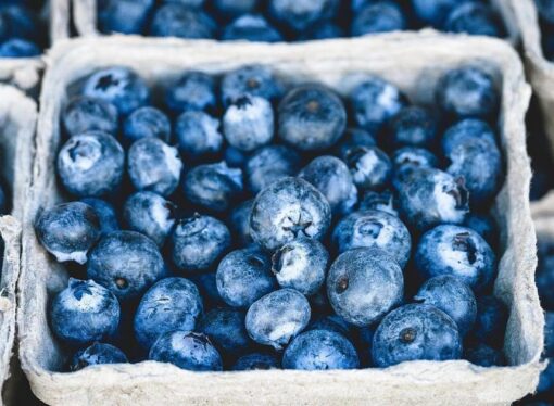 E. coli Outbreak linked to Frozen Blueberries in the U.S.