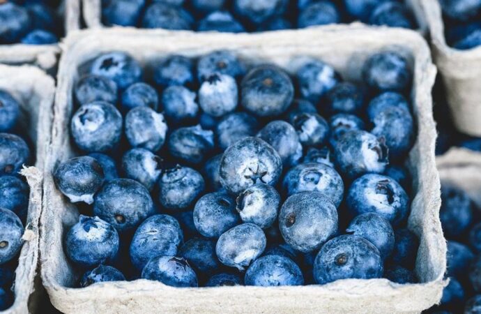 E. coli Outbreak linked to Frozen Blueberries in the U.S.