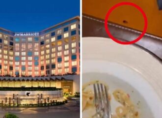 ‘Roachie’ at Dinner: Cardiologist Flags Food Safety Concerns at Mumbai JW Marriott