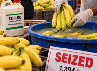 FDA Seizes 1.39 Tonnes of Bananas Over Illegal Chemical Ripening in Navi Mumbai