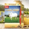 Blog Template