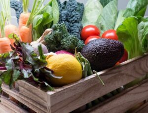 world food day